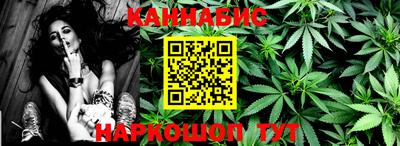шишки Заволжье